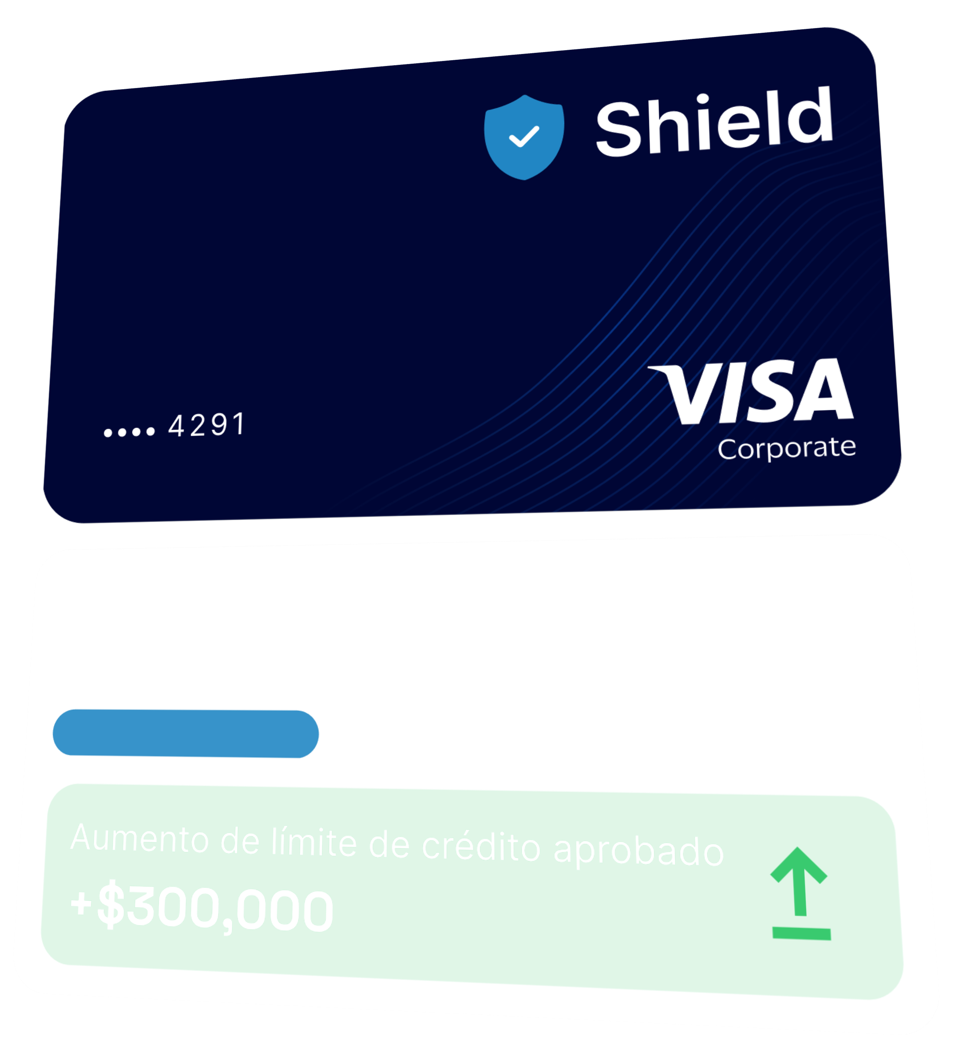 Shield Visa Corporate card