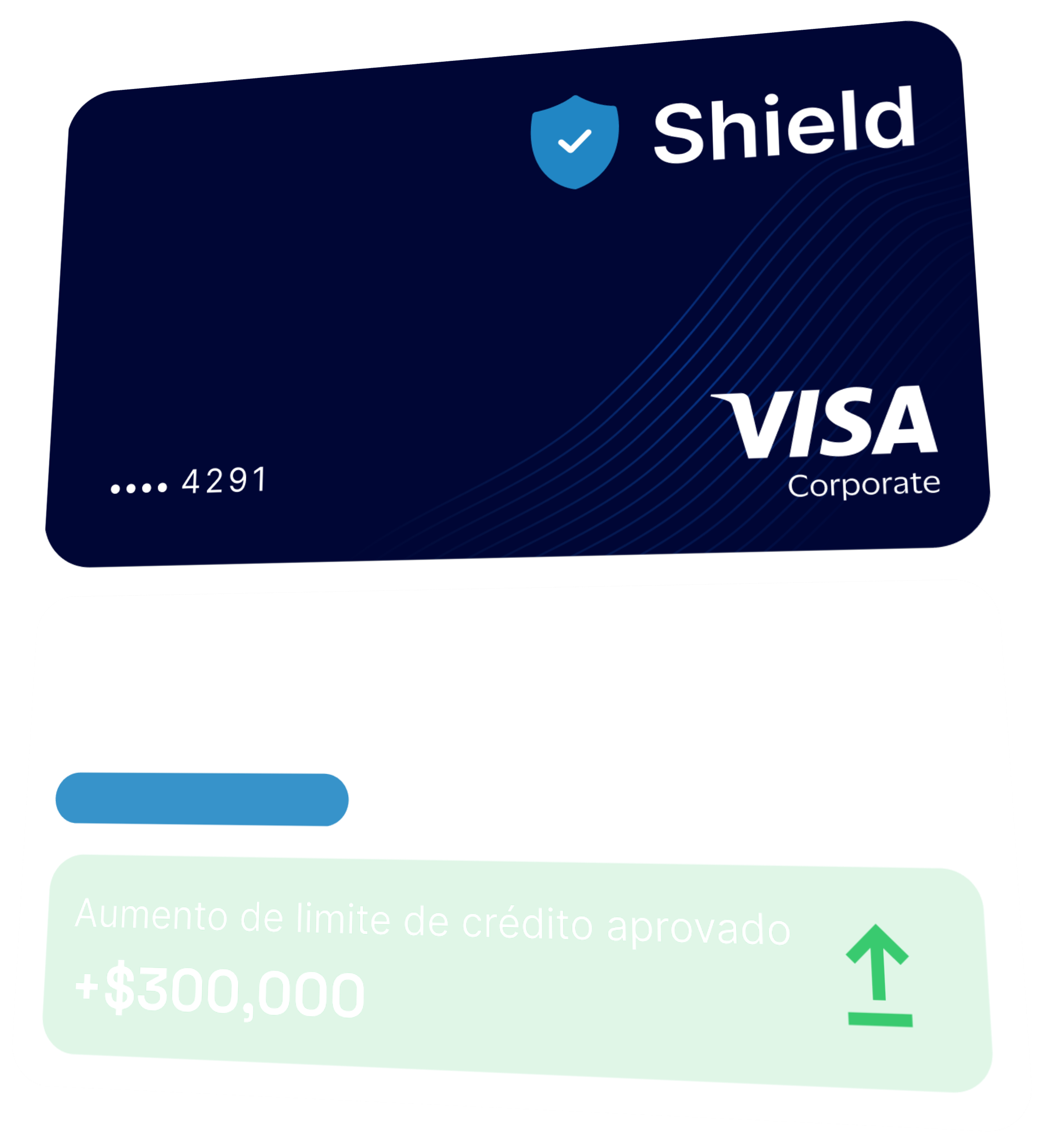 Shield Visa Corporate card