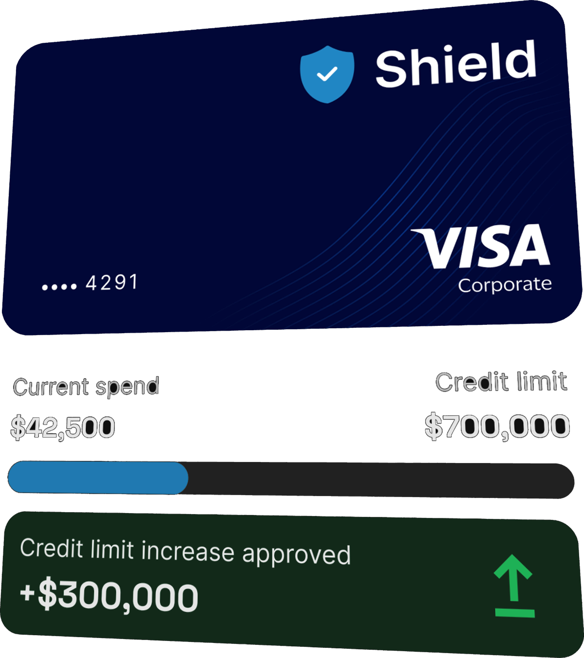 Shield Visa Corporate card